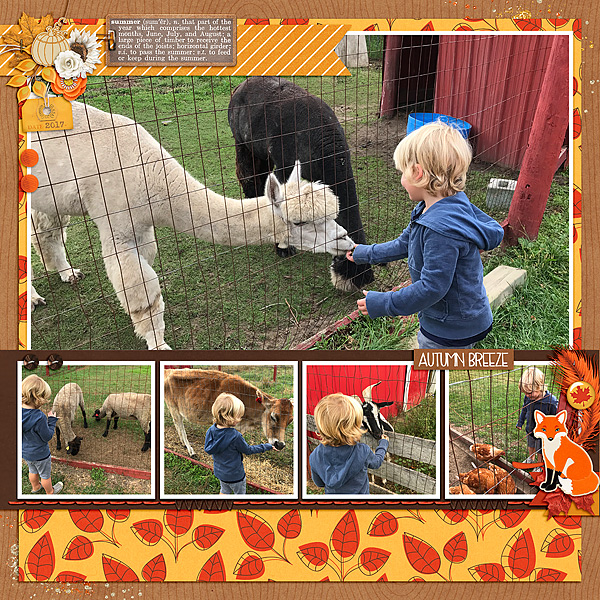 Animals at the Orchard