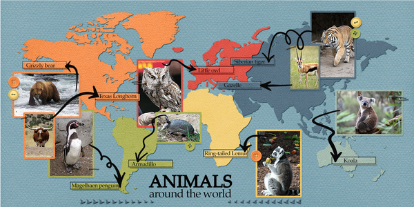 Animals of the world