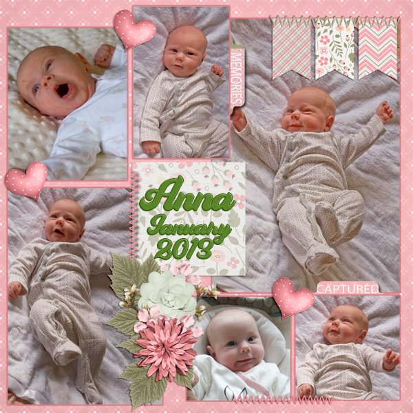 Anna 2013