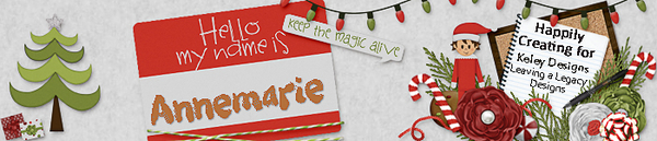 Annemaries Dec 2016 Siggy