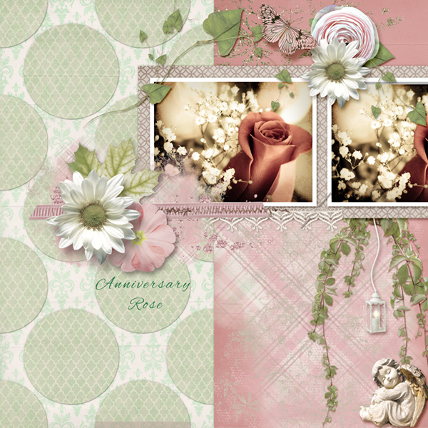 Anniversary Rose
