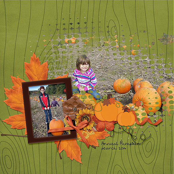 Annual Pumpkin Search