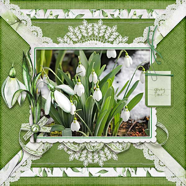 Another Spring Time