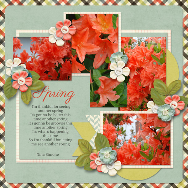 Another Spring