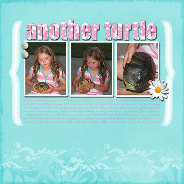 another turtle