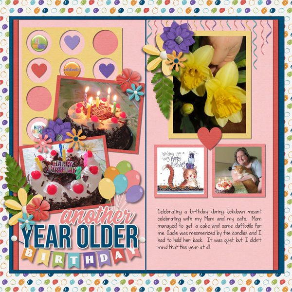 Another Year Older Birthday