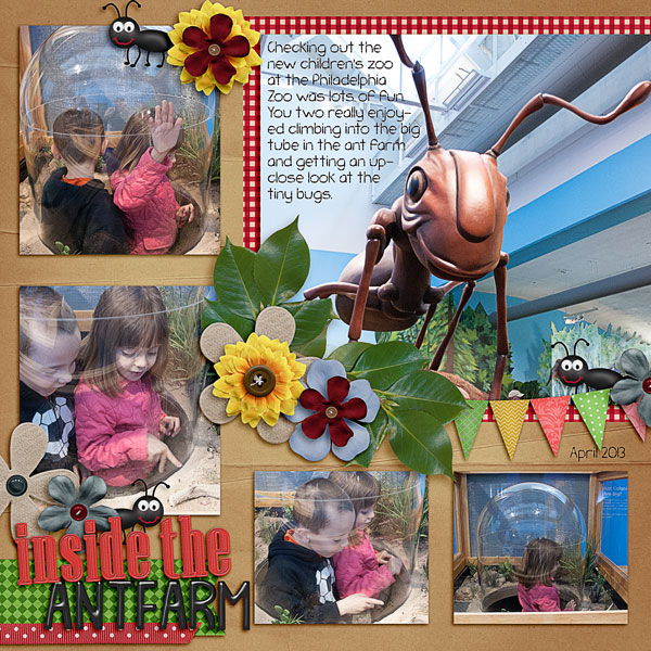 Ant farm