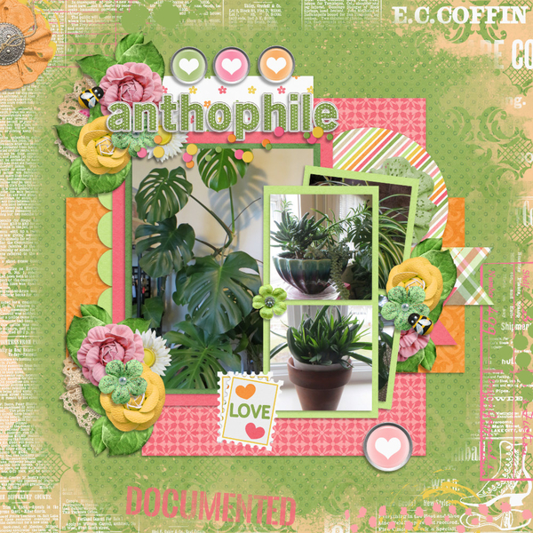 anthophile