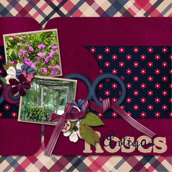 Antique Roses