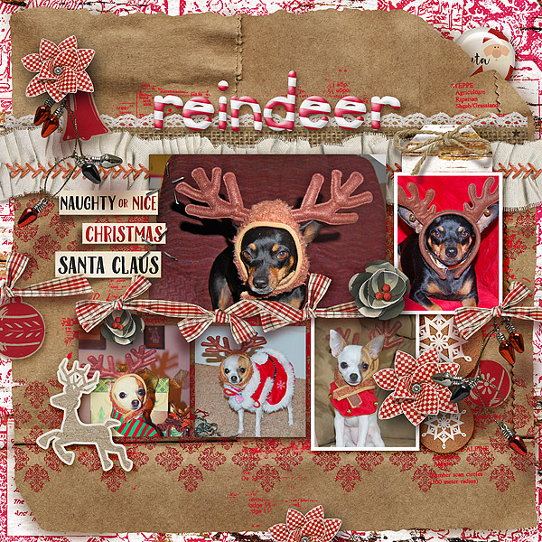 Antler Gallery