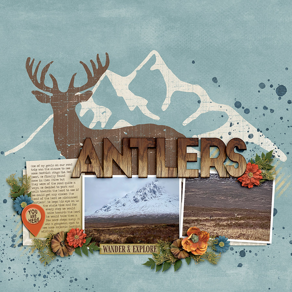 ~Antlers~
