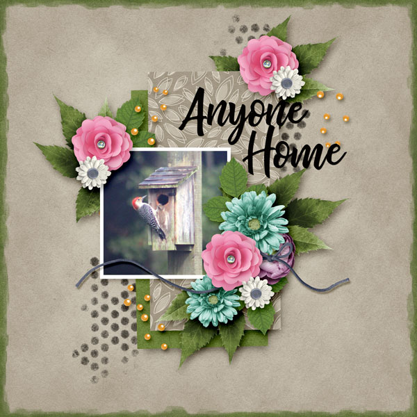 Anyone Home