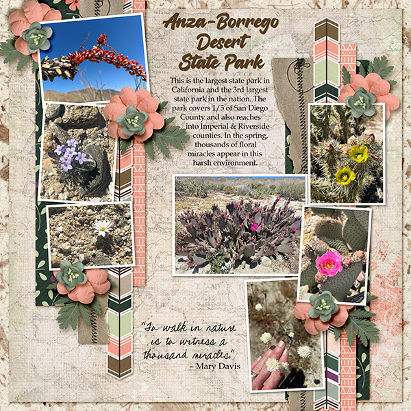 Anza-Borrego Desert State Park