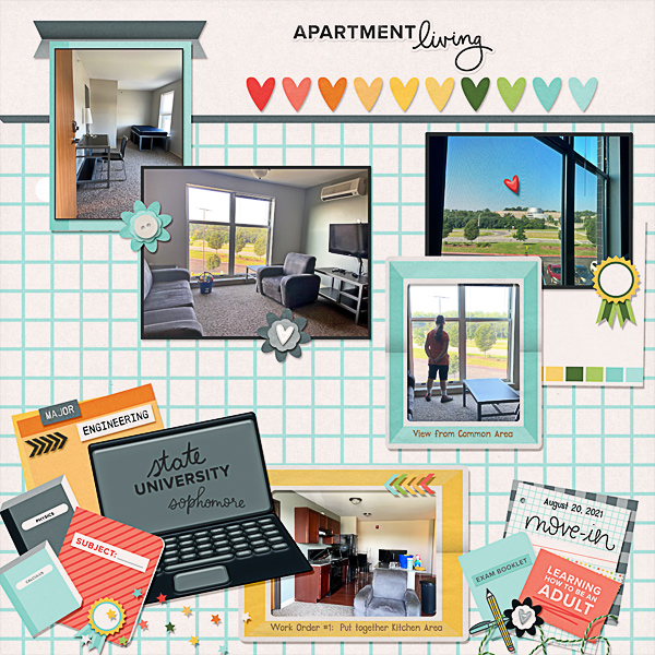 Apartment Living, College Sophomore Year