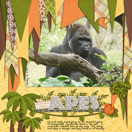 Apes