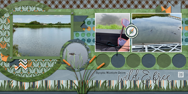 Apopka Wildlife Drive