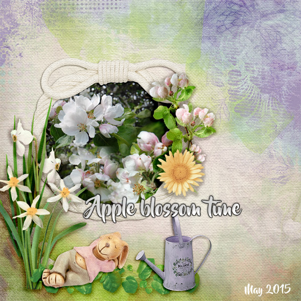 Apple-blossom-time