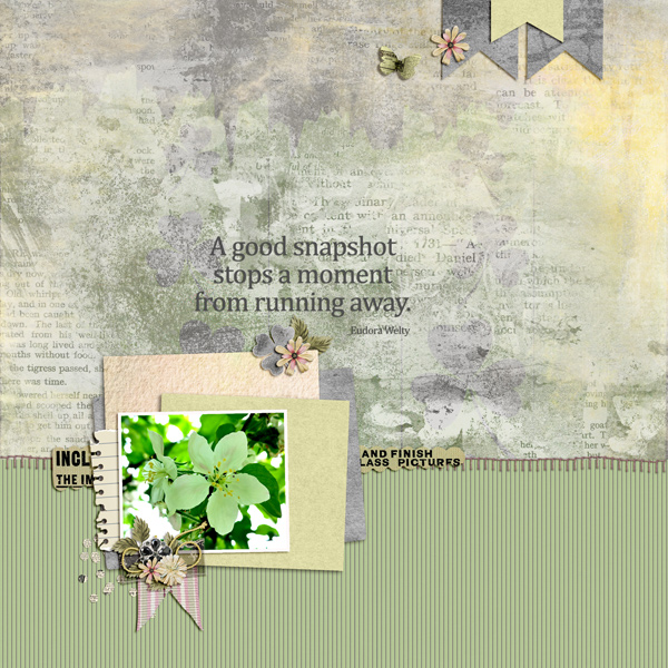 apple blossom