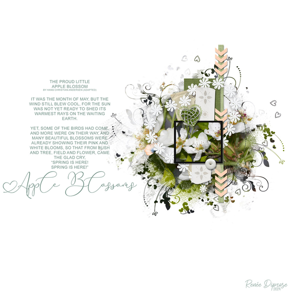 Apple Blossoms