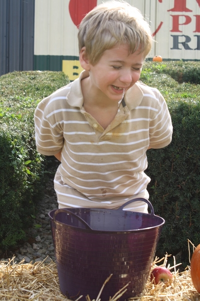 Apple Bobbing at its Finest
