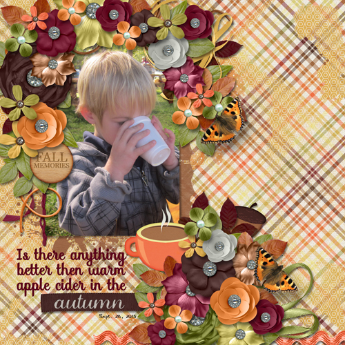 apple cider