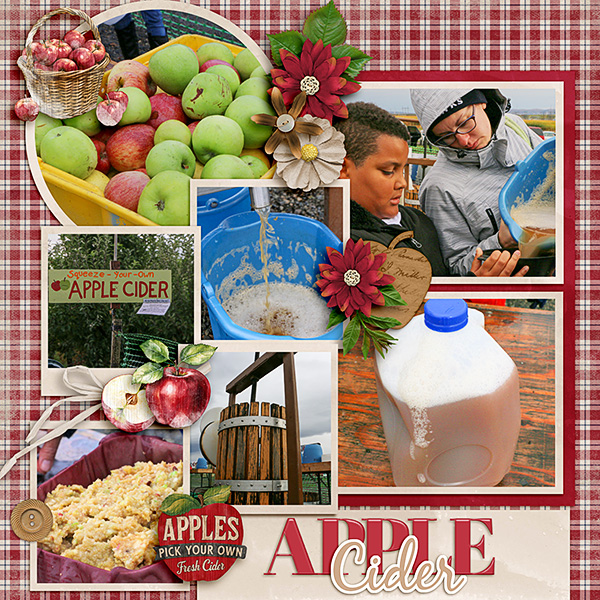 Apple-Cider