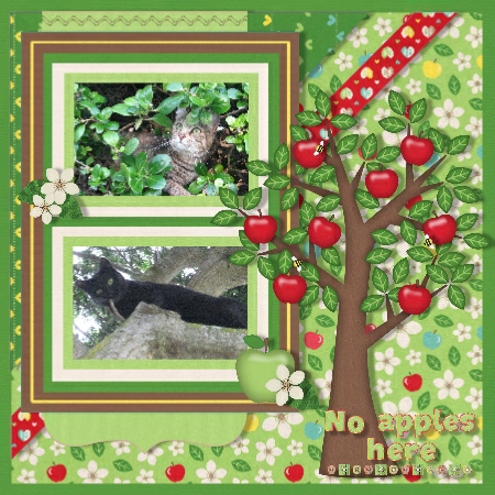 Apple Harvest