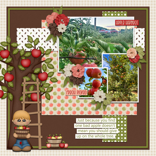 Apple Harvest