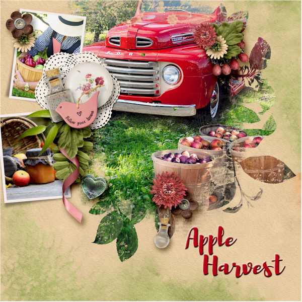 Apple Harvest