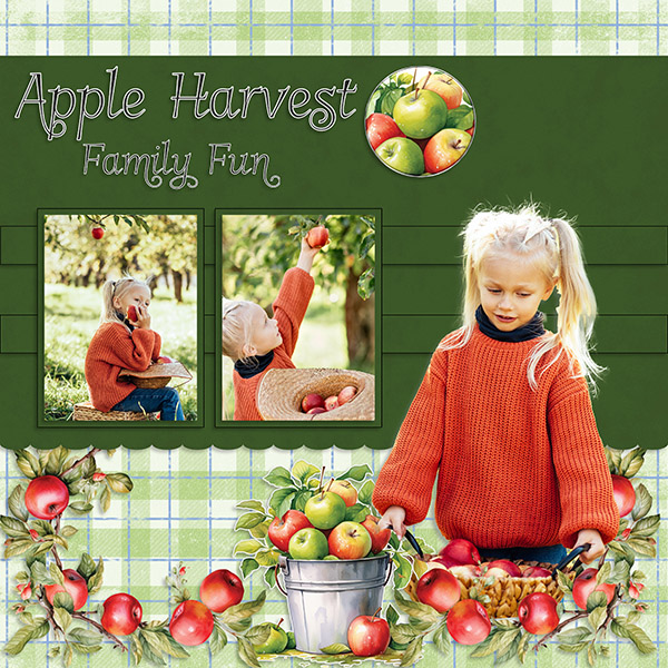 Apple Harvest