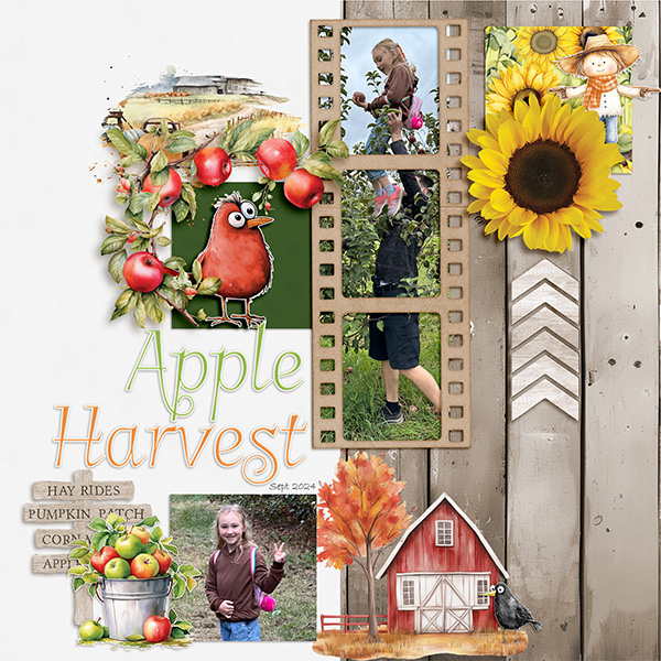 Apple Harvest