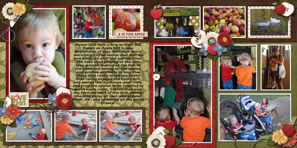 apple-hill-2011