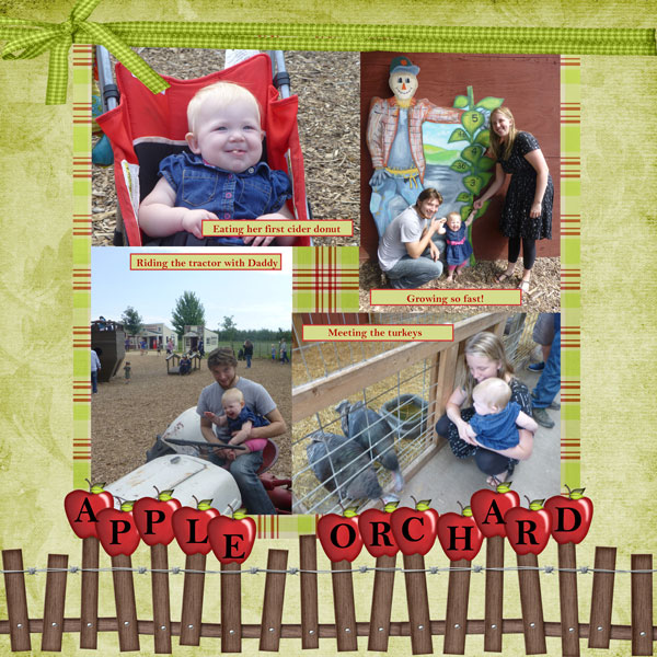 Apple Orchard 2