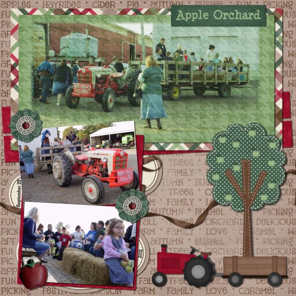 Apple Orchard Field Trip