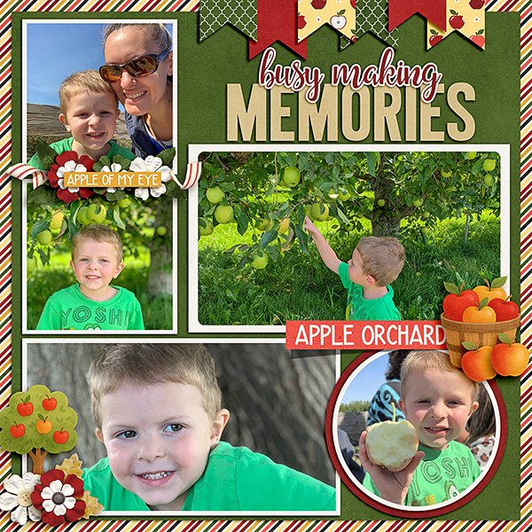 Apple-Orchard.jpg