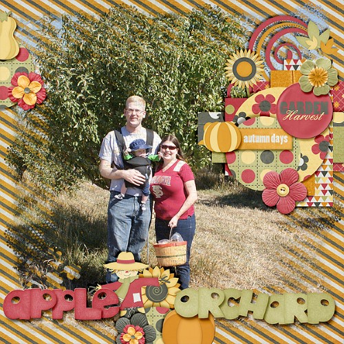 Apple Orchard