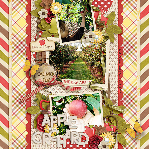 Apple Orchard