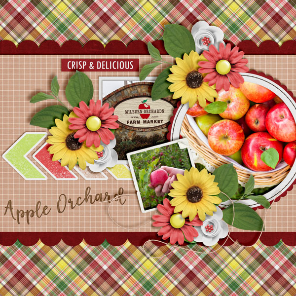 Apple-Orchard