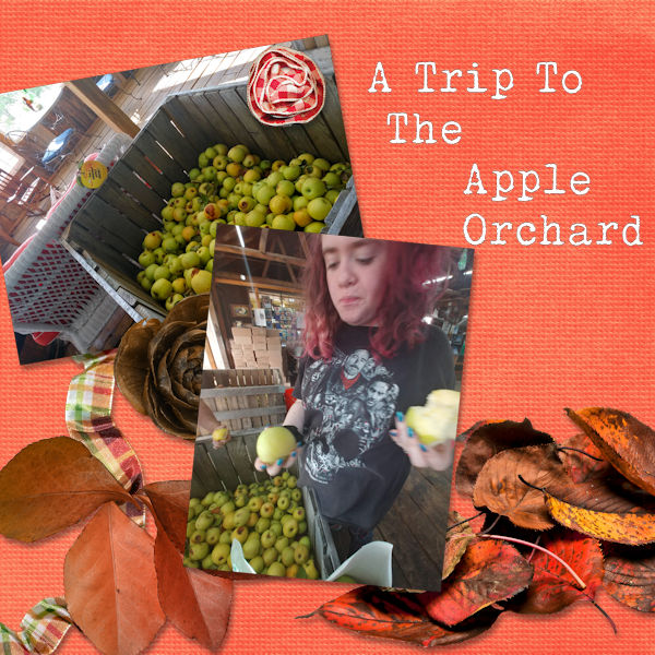 Apple Orchard