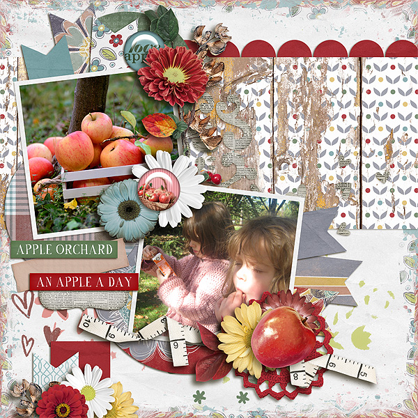Apple Orchard