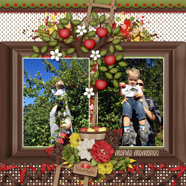 Apple Orchard