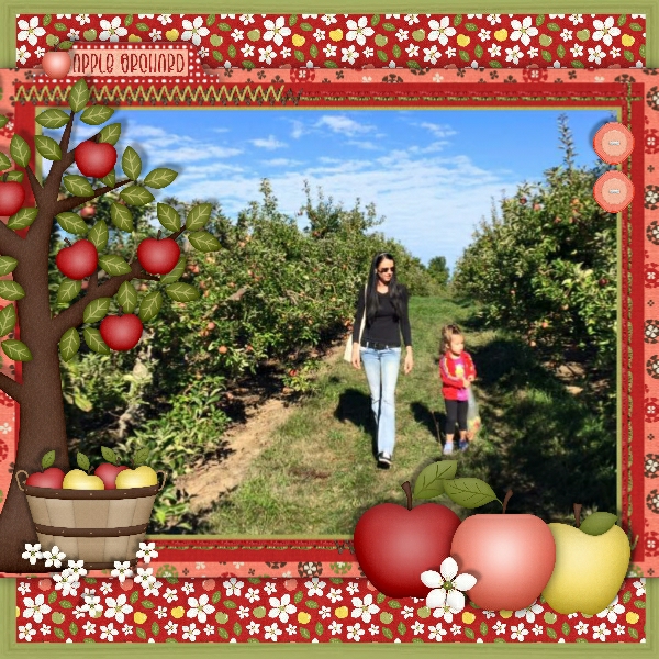 Apple Orchard