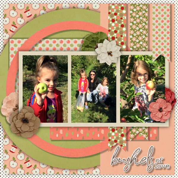 Apple Orchard