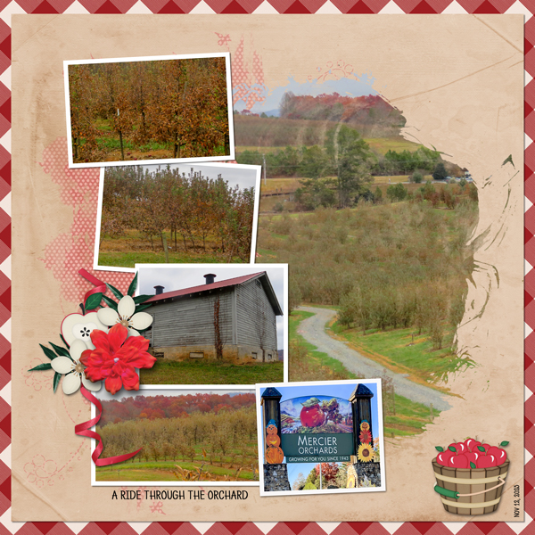 Apple Orchard