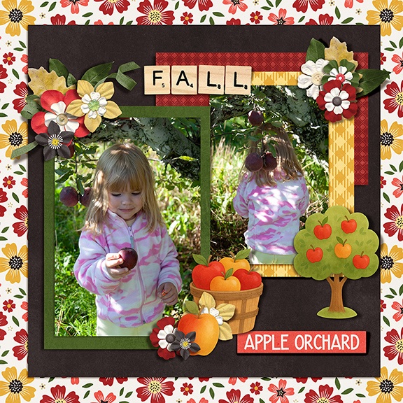 Apple Orchard