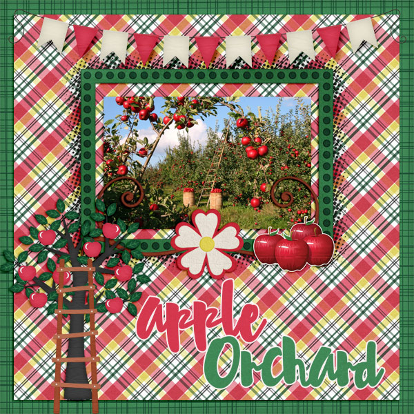 Apple-orchard3