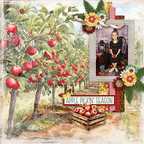 Apple Pickin'