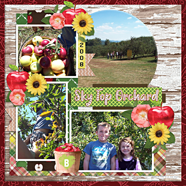 Apple picking 2008