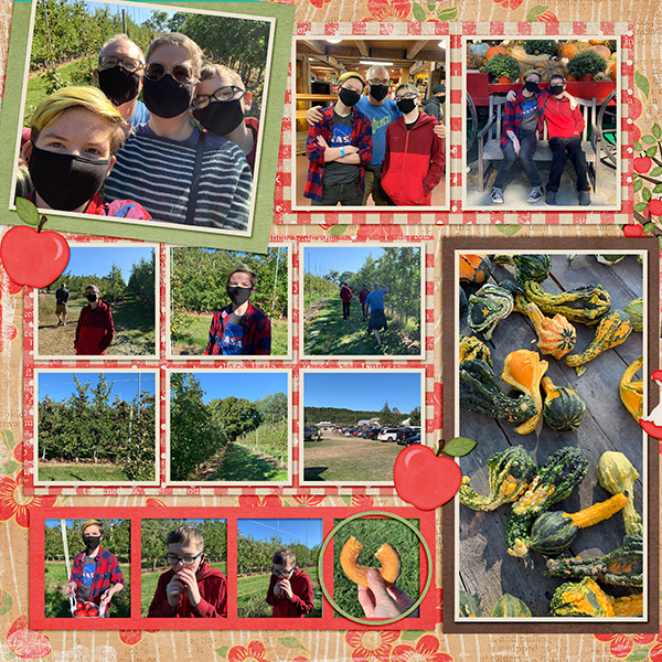 Apple Picking 2020L