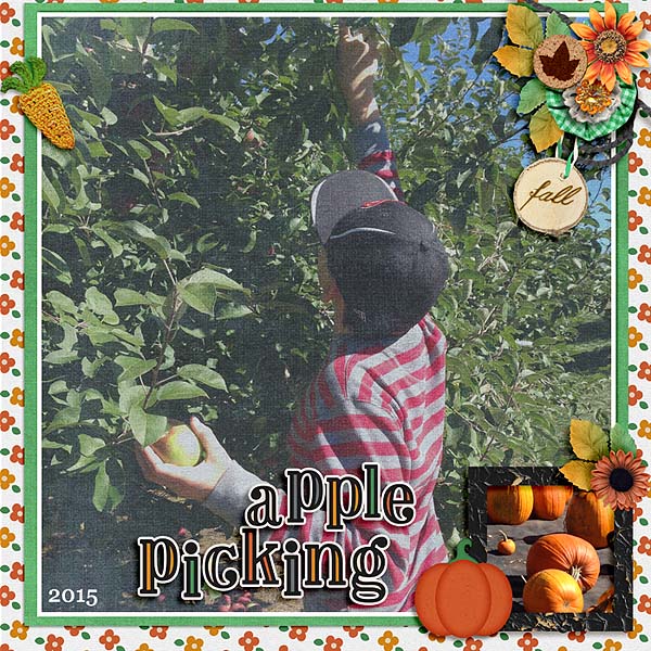 Apple Picking